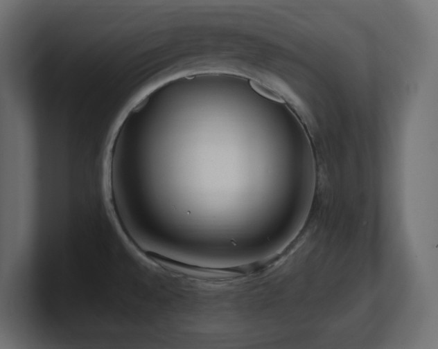 X0000101101528200806261501