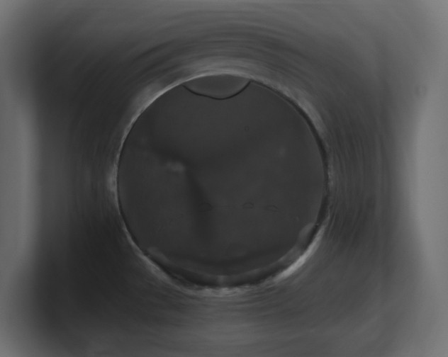 X0000101101529200806261501
