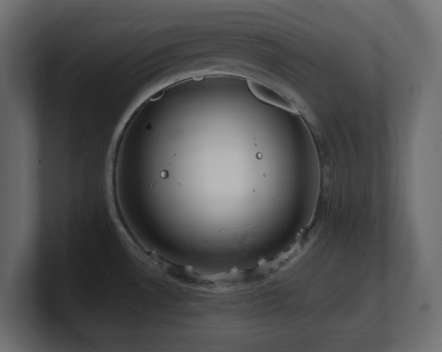 X0000101101530200806261501