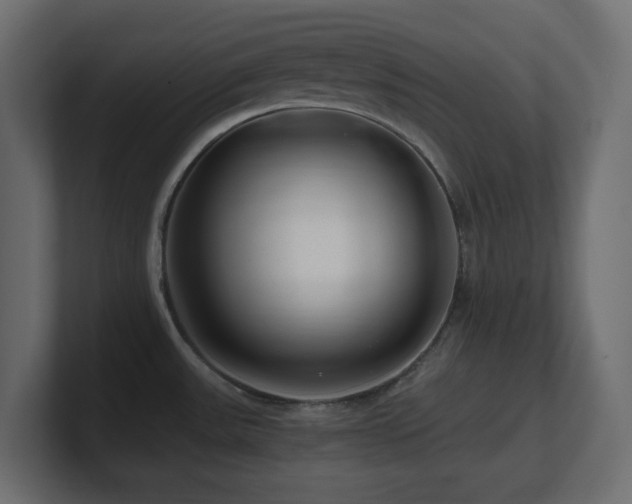 X0000101101531200806261502