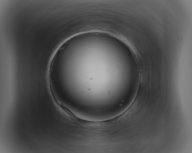 X0000101101532200806261502