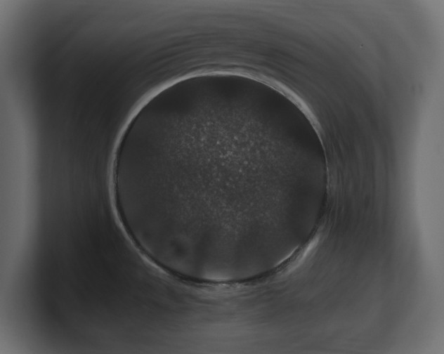 X0000101101533200806261502