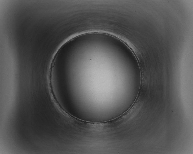 X0000101101534200806261502