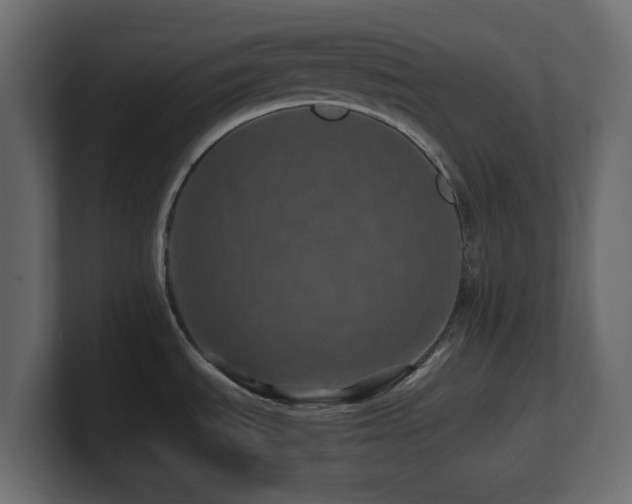 X0000101101535200806261502