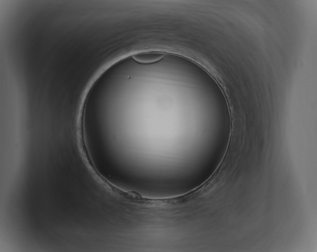 X0000101101536200806261502