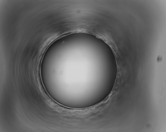X0000101100001200807031801