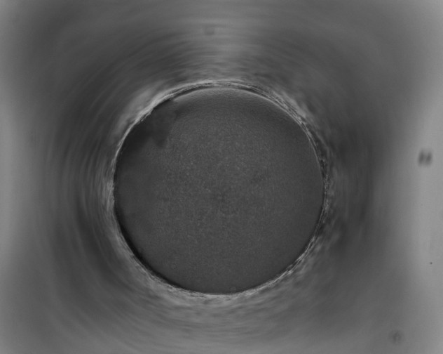 X0000101100002200807031801