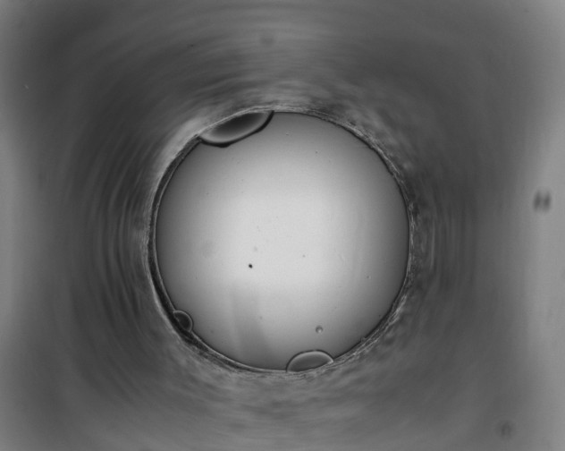X0000101100003200807031801