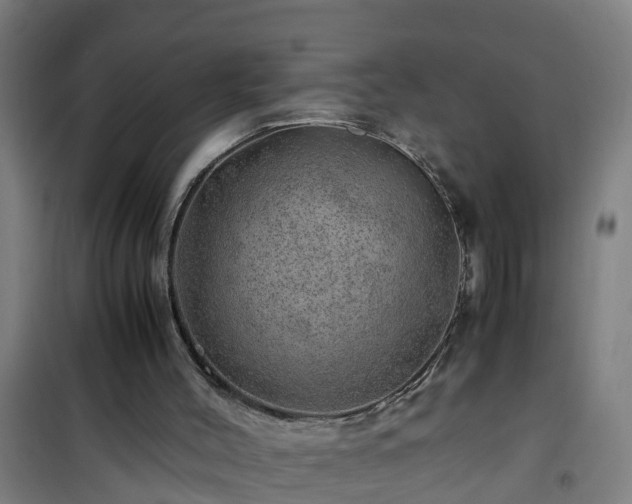 X0000101100004200807031801