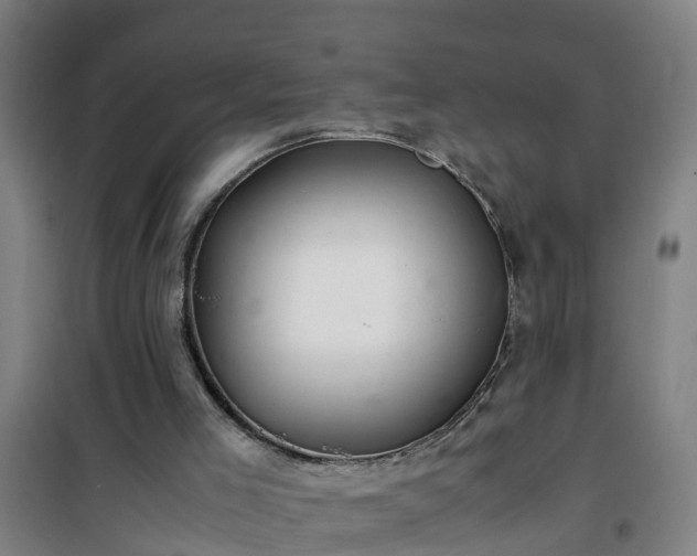 X0000101100005200807031801