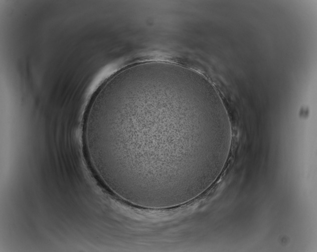 X0000101100006200807031801