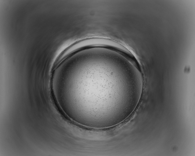 X0000101100008200807031801