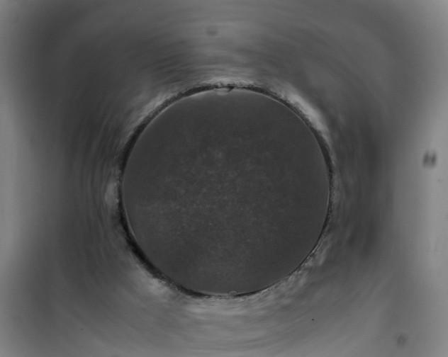 X0000101100009200807031801