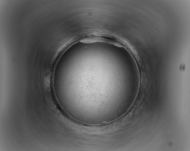 X0000101100010200807031801