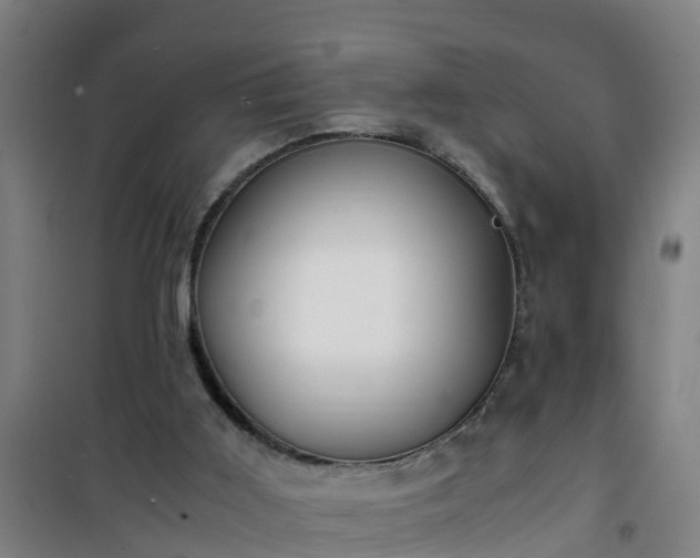 X0000101100011200807031801