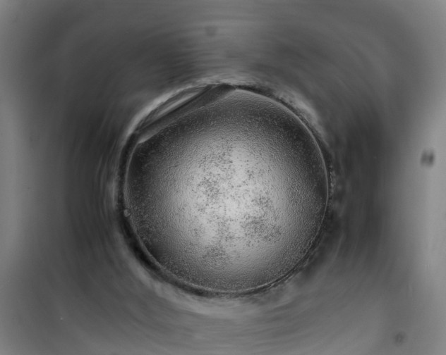 X0000101100012200807031801