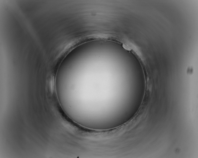 X0000101100013200807031801