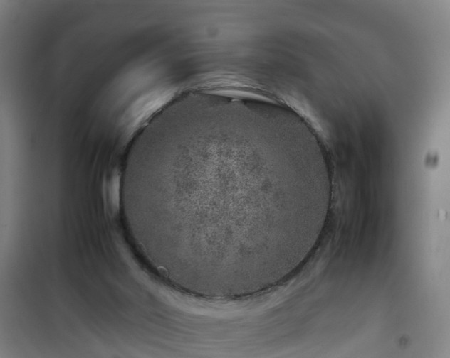 X0000101100014200807031801