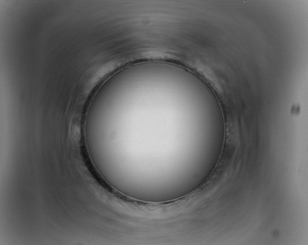 X0000101100015200807031801