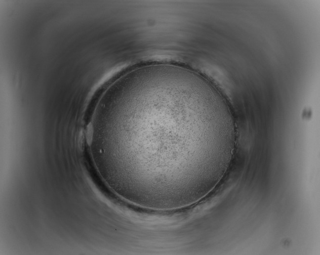 X0000101100016200807031801
