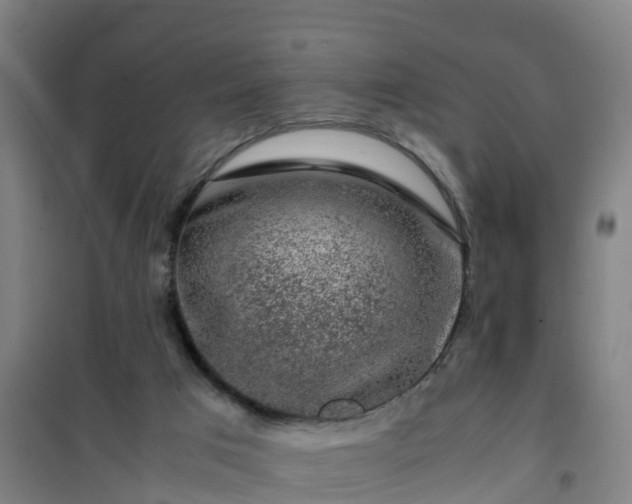 X0000101100017200807031801