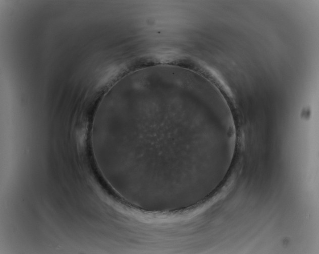 X0000101100018200807031801