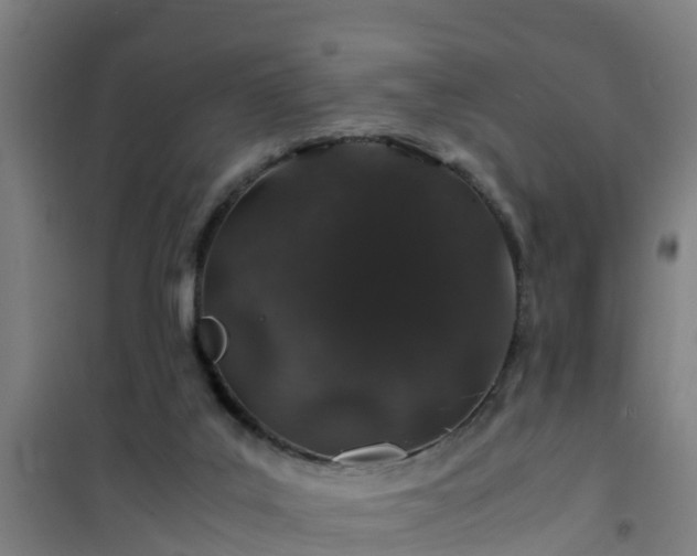 X0000101100019200807031801