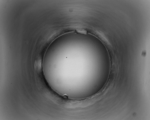 X0000101100021200807031801