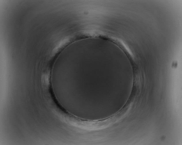 X0000101100023200807031801
