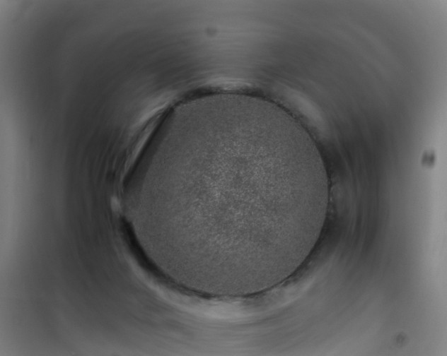 X0000101100024200807031801
