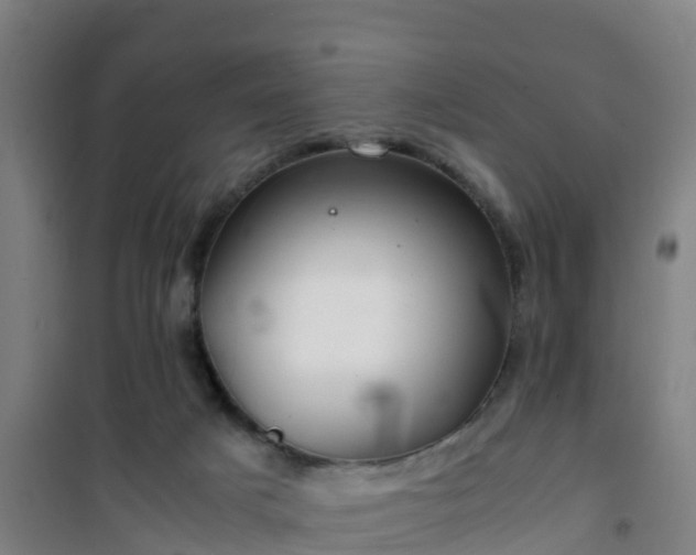 X0000101100025200807031801