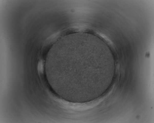 X0000101100026200807031801