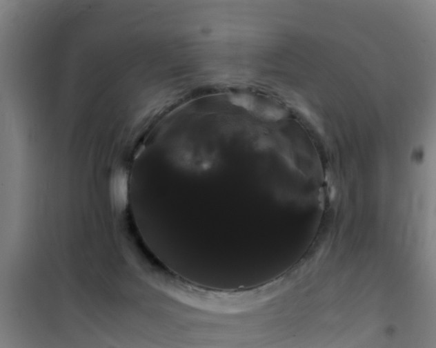 X0000101100027200807031801
