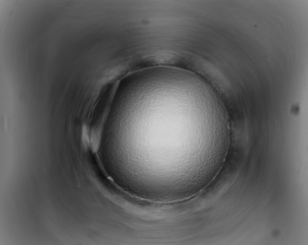 X0000101100028200807031801