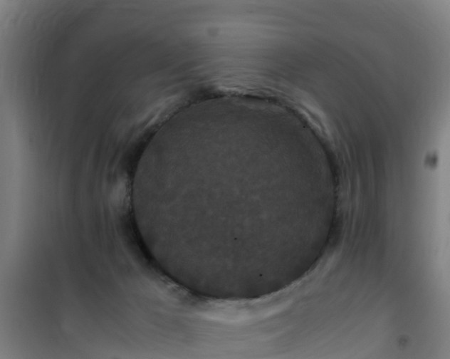 X0000101100029200807031801