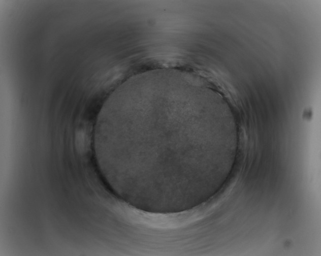 X0000101100030200807031801