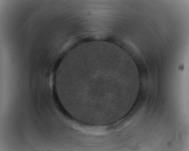 X0000101100032200807031801
