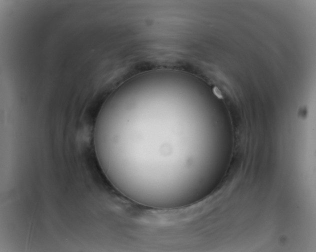 X0000101100033200807031801