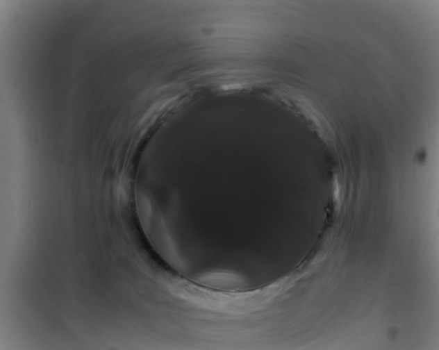 X0000101100035200807031801