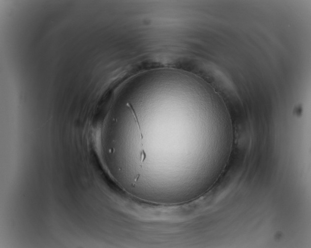 X0000101100036200807031801