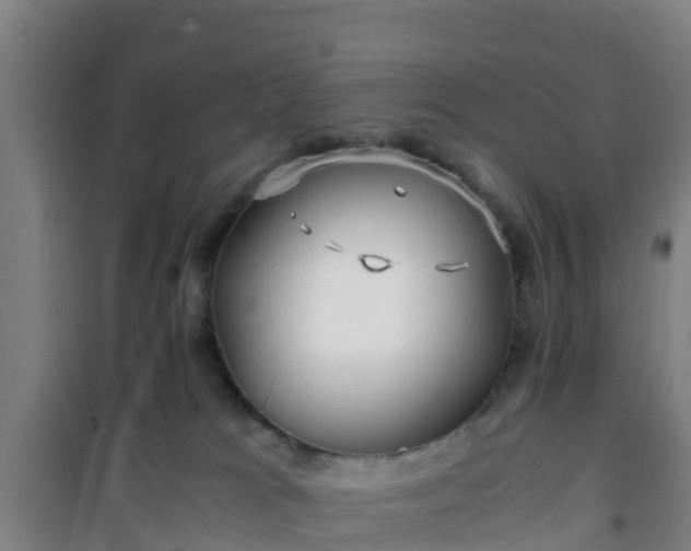X0000101100037200807031801