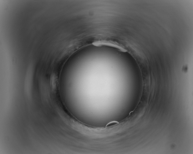 X0000101100038200807031800