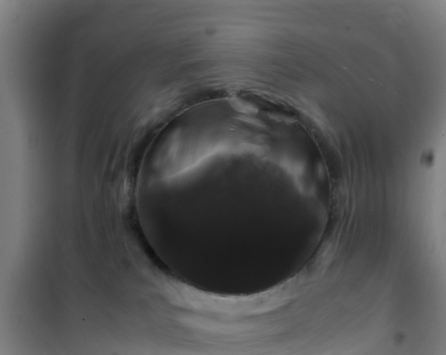 X0000101100039200807031800