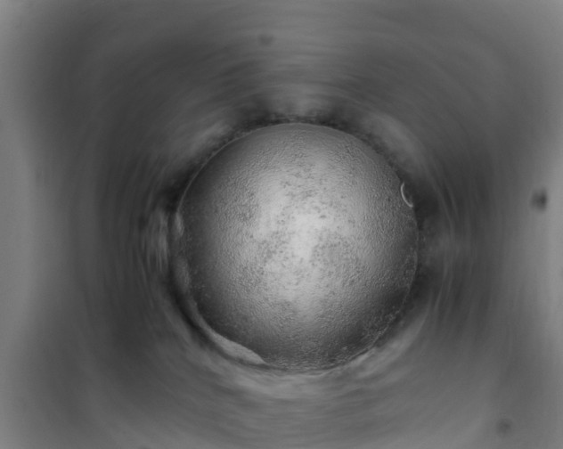 X0000101100040200807031800