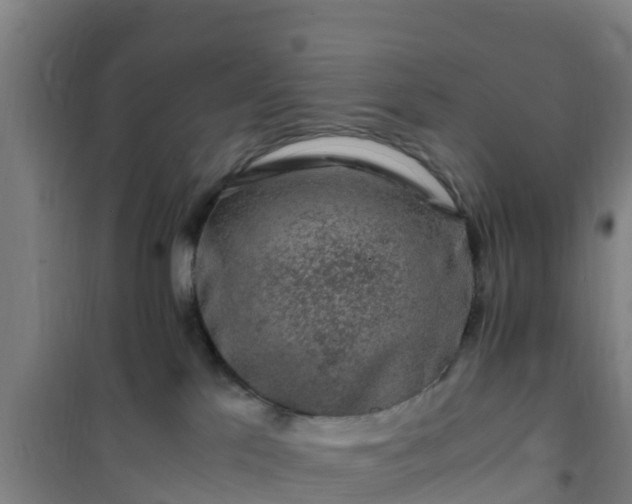 X0000101100041200807031800