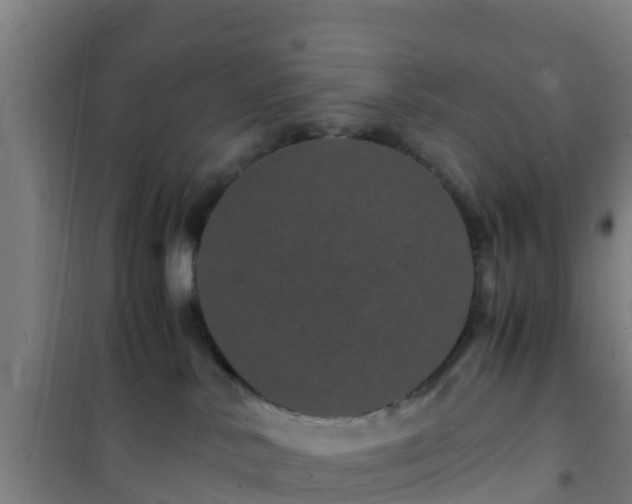 X0000101100042200807031800