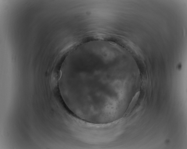 X0000101100043200807031800