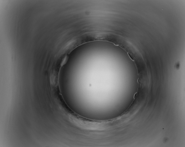 X0000101100044200807031800