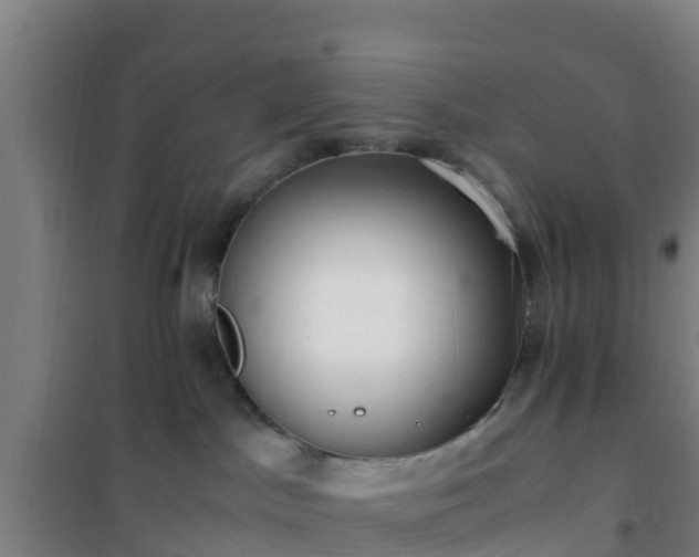 X0000101100045200807031800