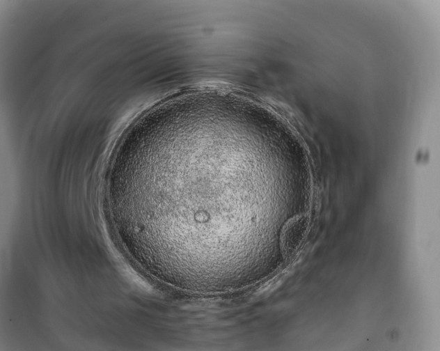 X0000101100049200807031800